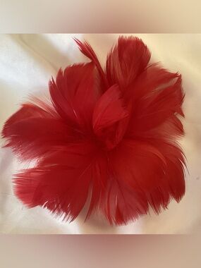 Red Feather Fascinator Hair Clip